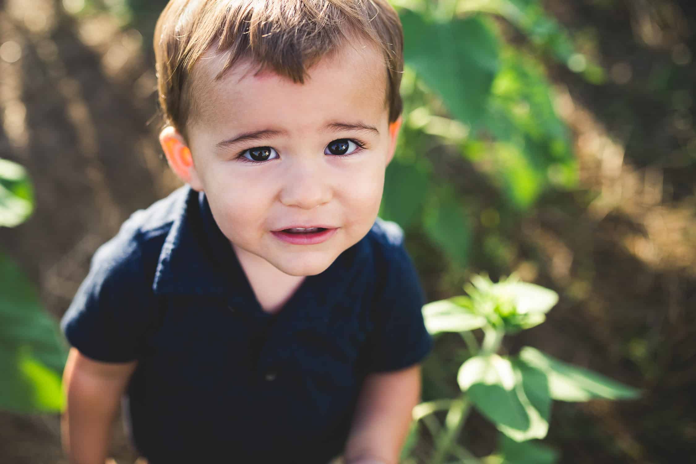 Toddler smiling for the camera in sunflower field